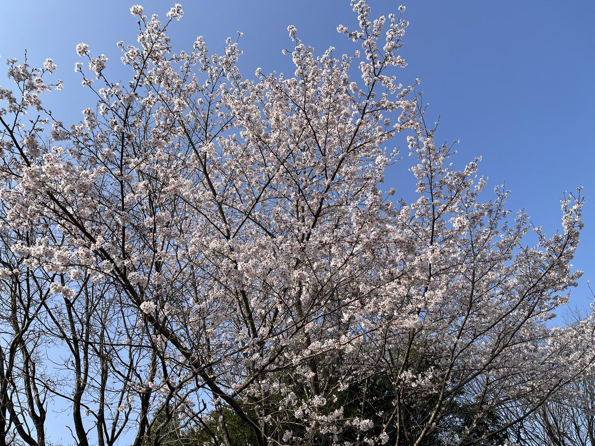 Keisuke Kimura 産業保健理学療法&IPC/IPE&ケースメソッド教授法&CBT tweet media