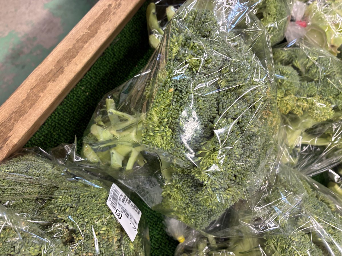 黒魔猫のしぐにぁ🐈‍⬛@現在7.0【Gungnir】 tweet media