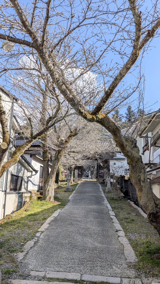 こうち(Kouchi) tweet media