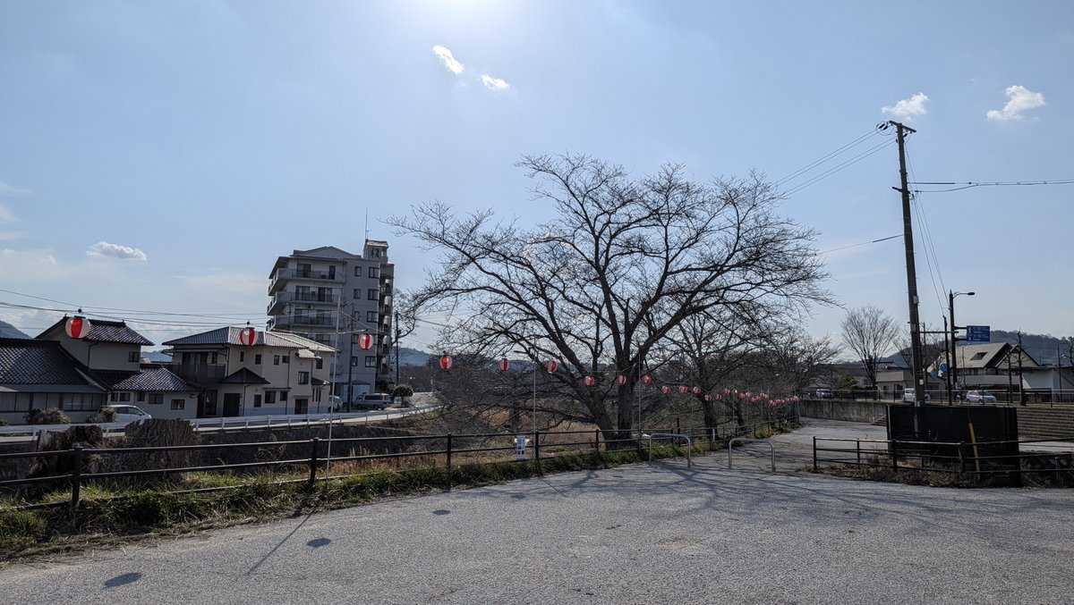 こうち(Kouchi) tweet media