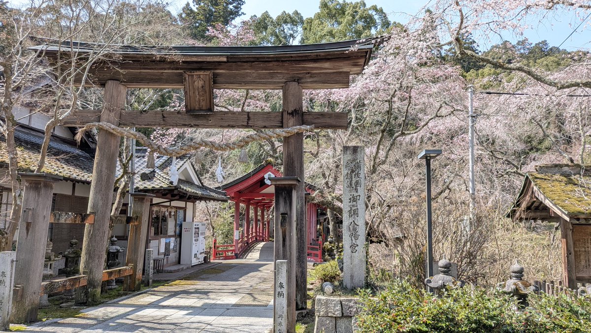 こうち(Kouchi) tweet media