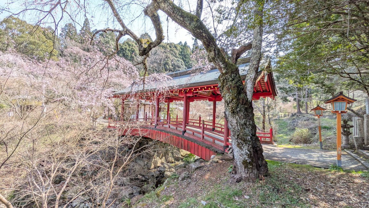 こうち(Kouchi) tweet media