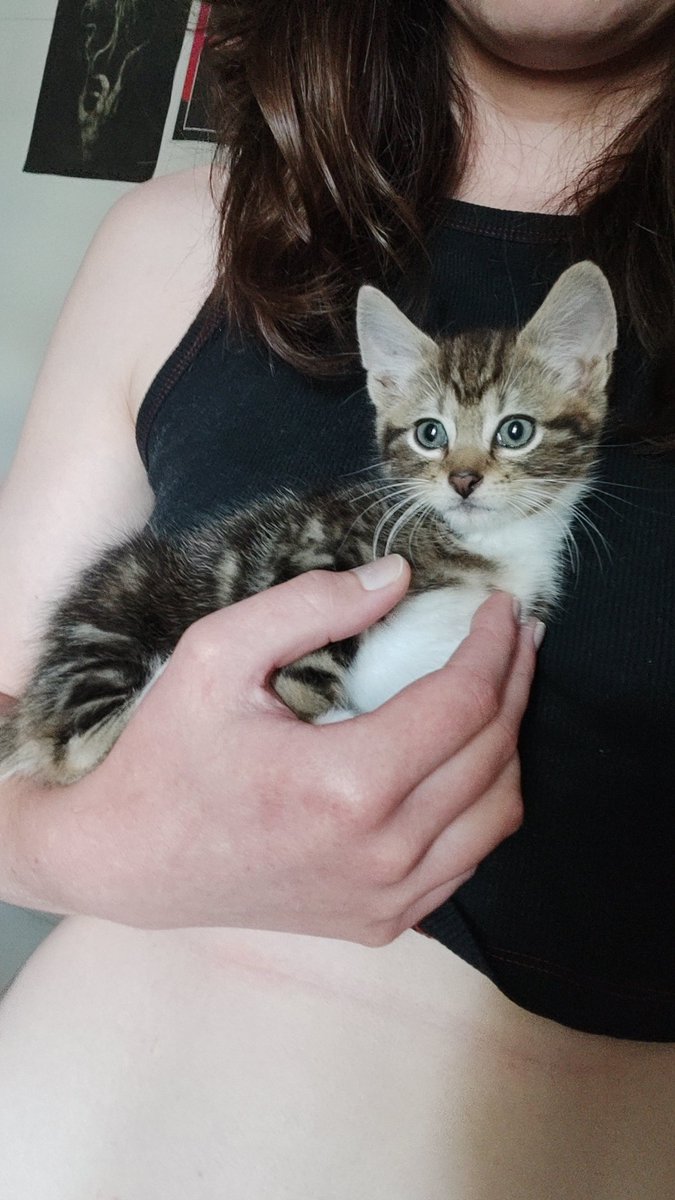 Carlotta 💚🐾 tweet media