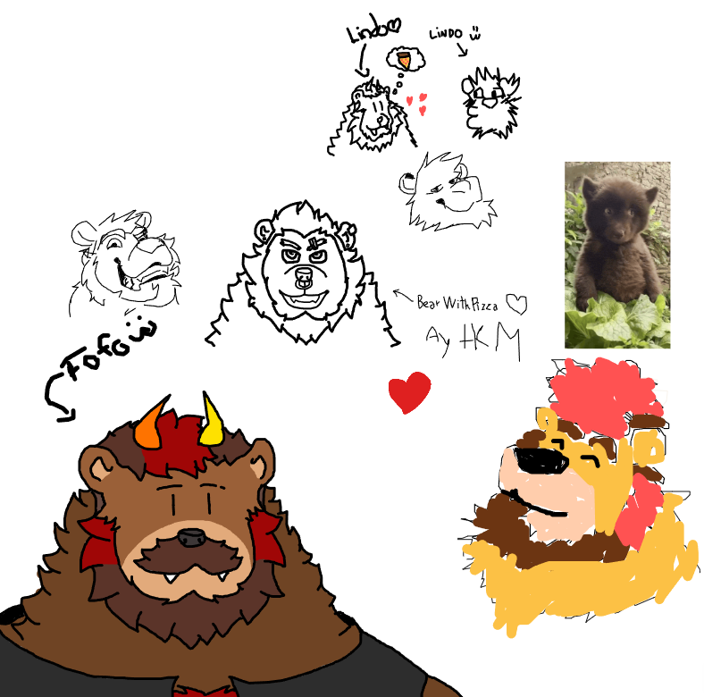 ✨🐻 KUMAHOSHI 🐻✨ tweet media