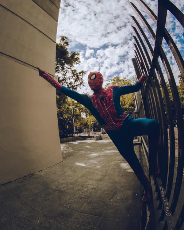 Seiberlin 🇨🇱 tweet media