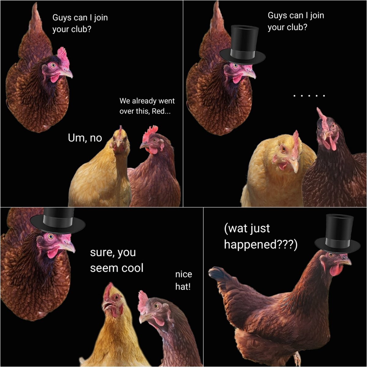 Great Lakes Fungi 🍄 tweet media