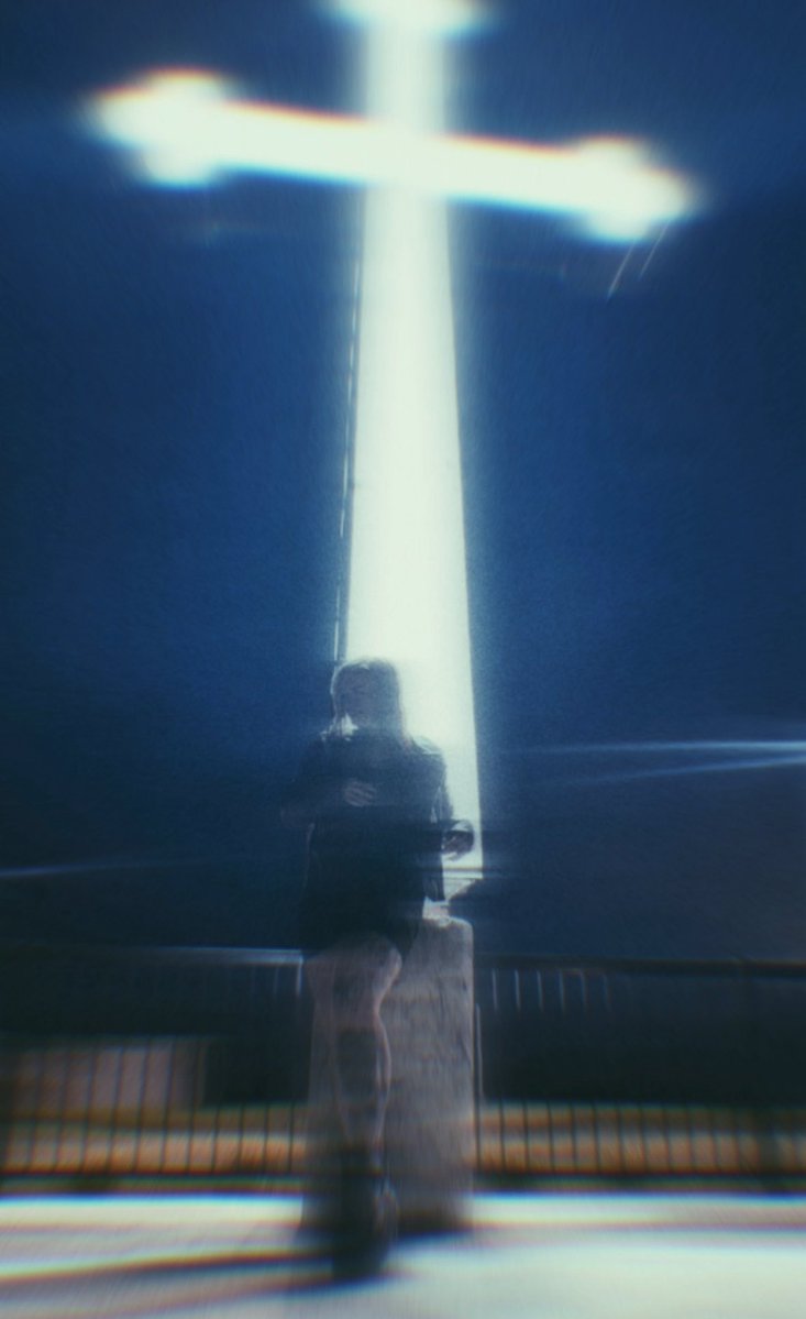 moth 🪰 tweet media