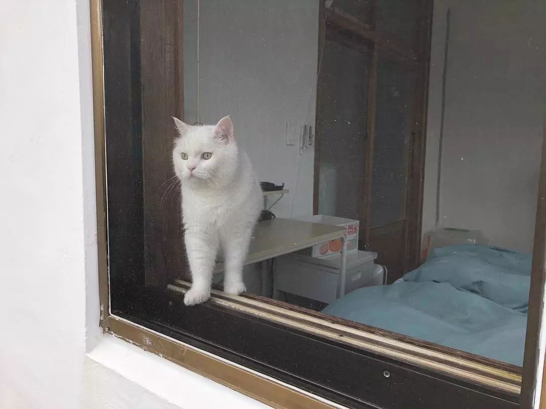 Marco Salesch tweet media