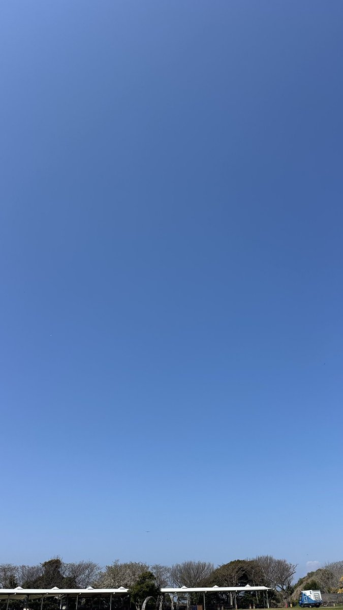 G/M.Shop Official tweet media