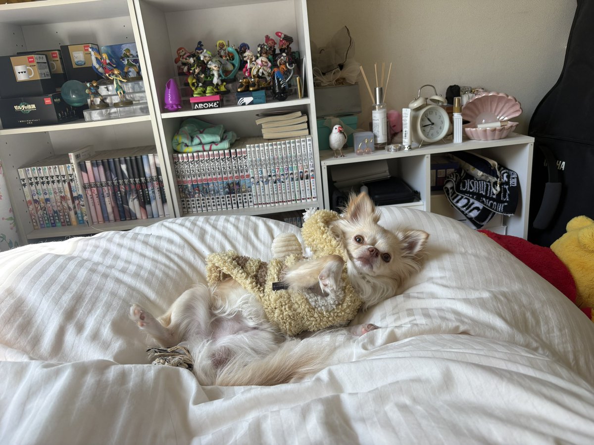 うぇる tweet media