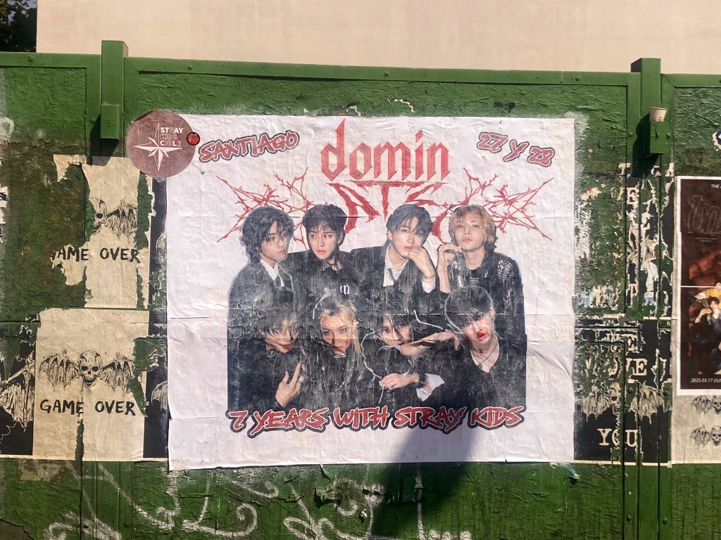 Orchidyaldix's tweet image. Stay Pudú oficialmente en depresión #StrayKids #DominateTourAnniversary #1año