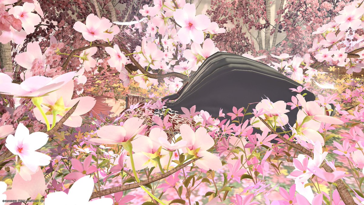 れんか/Skeb募集中 tweet media