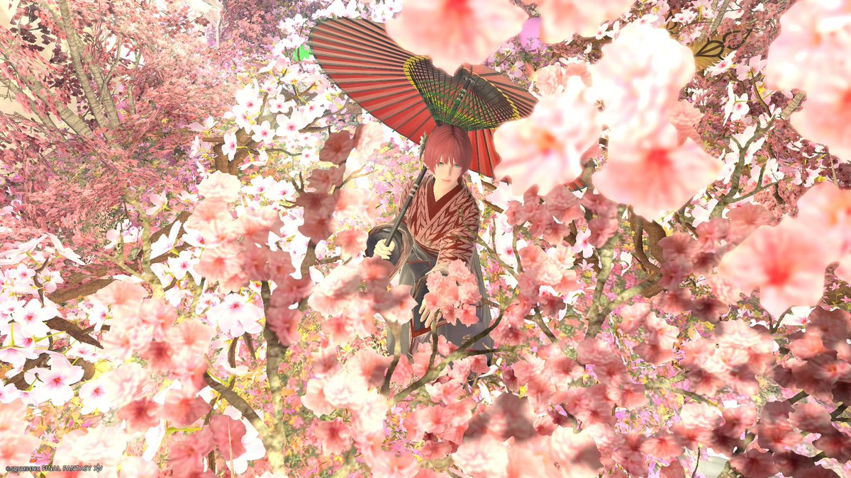 れんか/Skeb募集中 tweet media