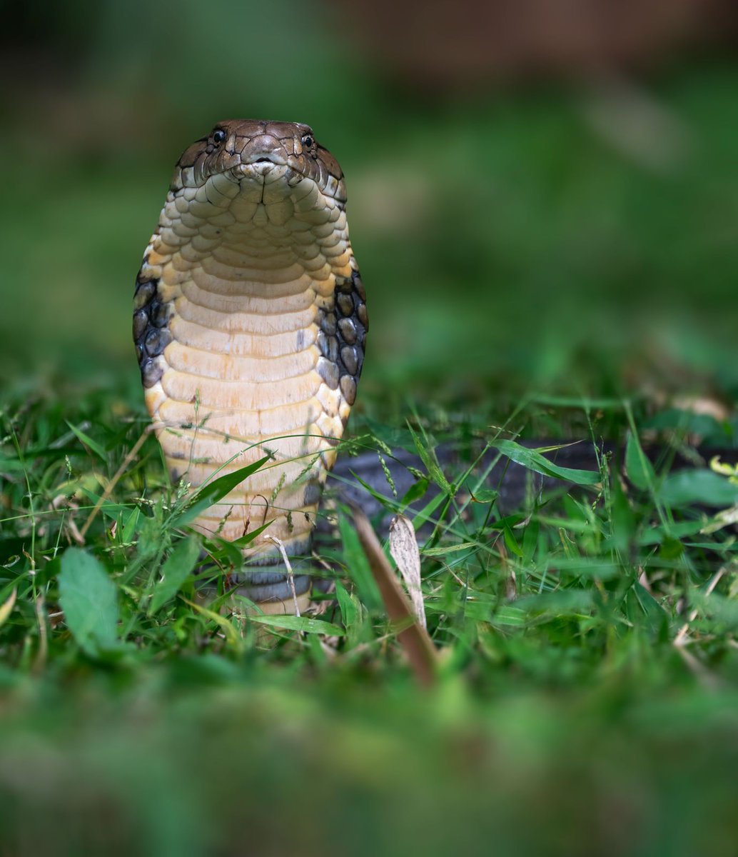 Mohit Mehta tweet media