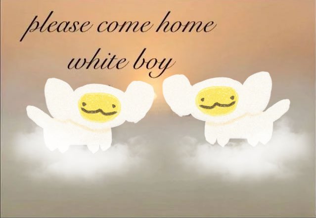 starlight mille tweet media