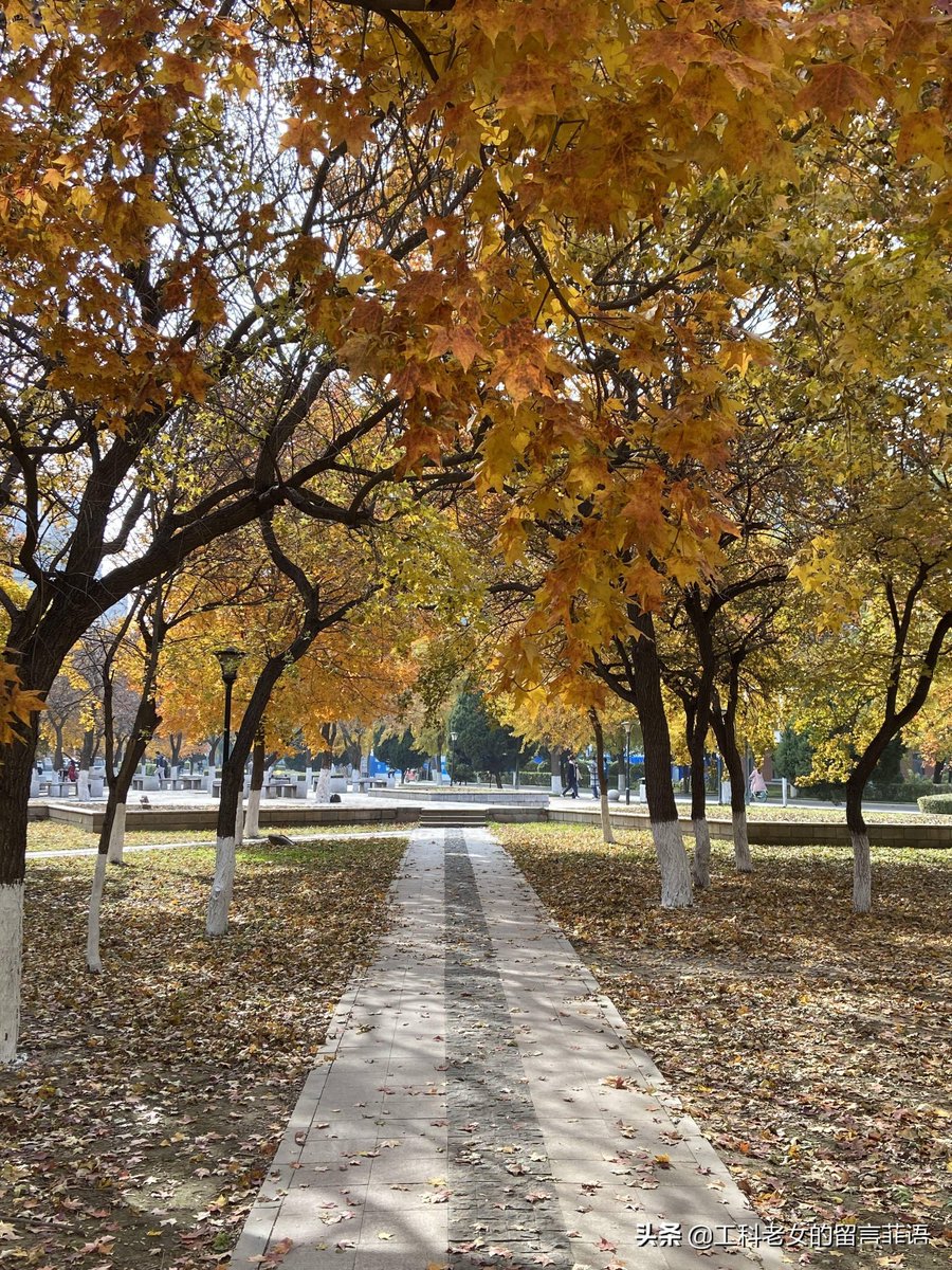 manata bagus tweet media