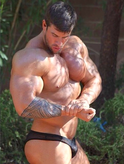 Muscle Worship tweet media
