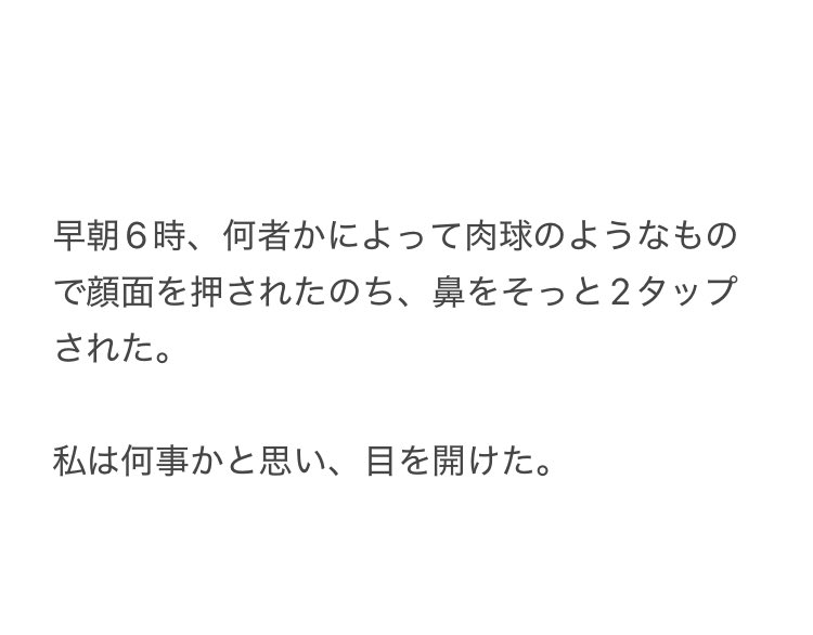 やーこ tweet media