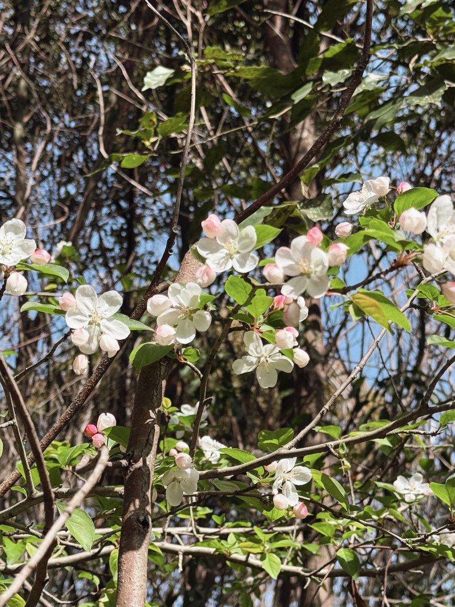 ท่าซันตี้จวิน🪿🪼bab vol 7 tweet media