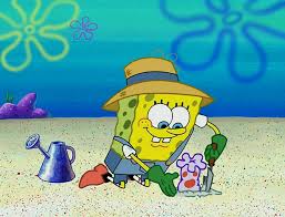 Naho ⁷★⊙⊝⊜ tweet media