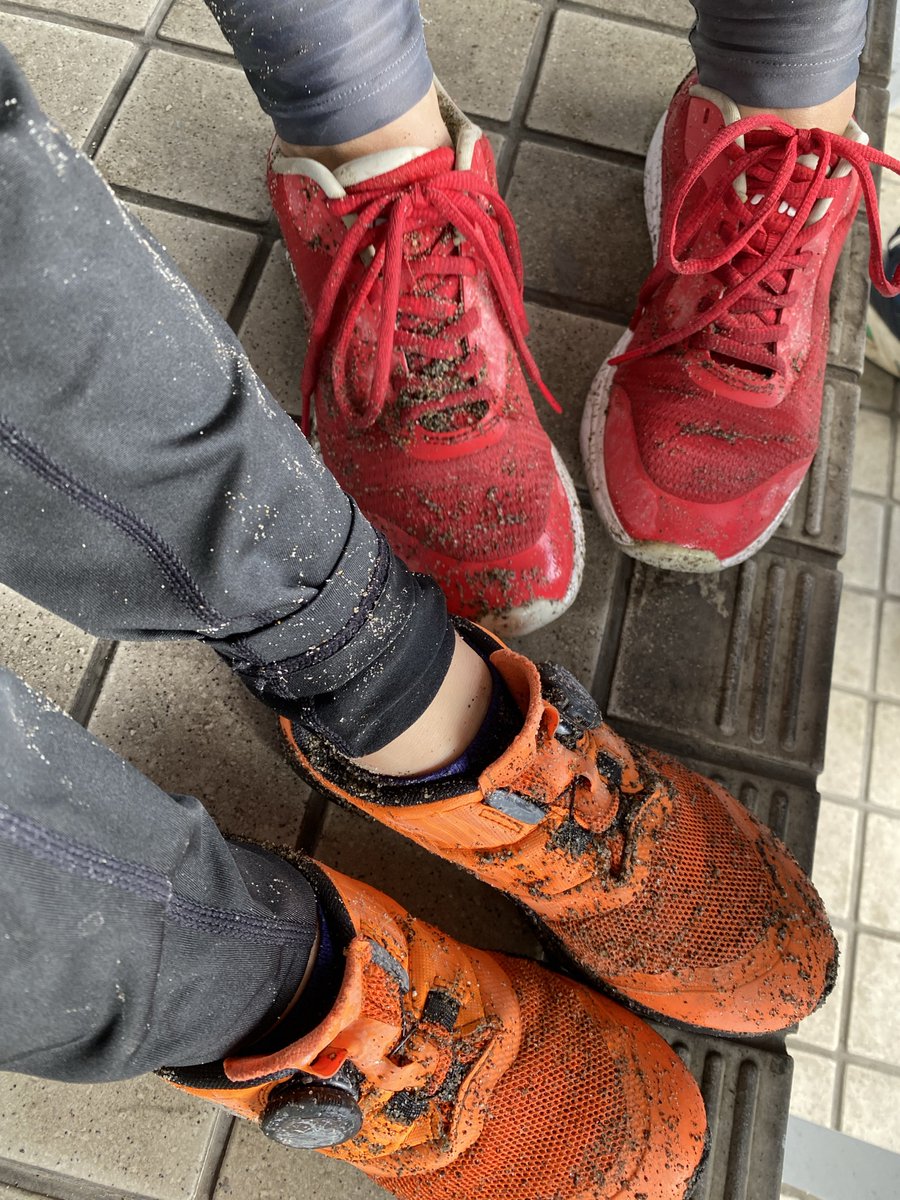 鉄鍋こたつ tweet media