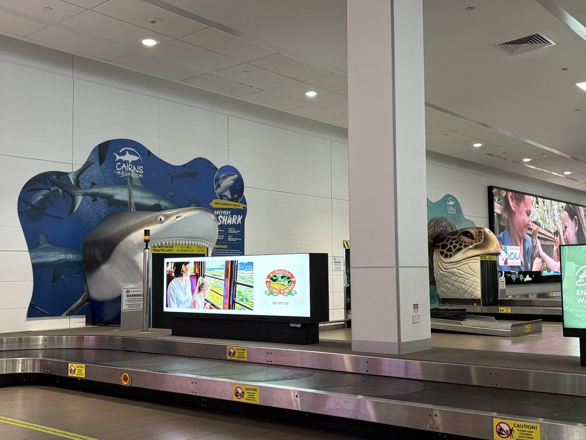 KECCHI 🌱 tweet media