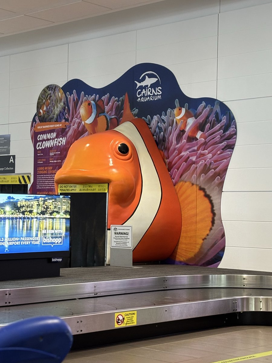 KECCHI 🌱 tweet media