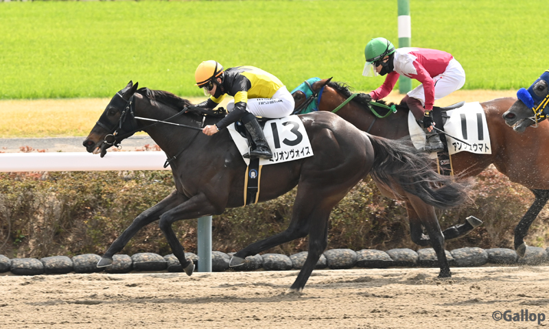 週刊Gallop（Weekly Gallop） tweet media