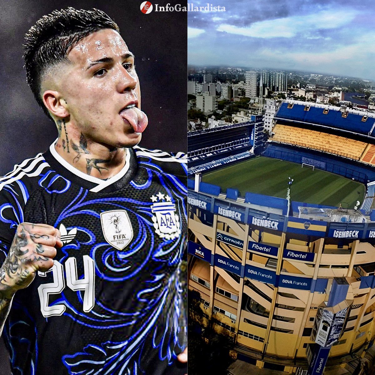 Info Gallardista tweet media