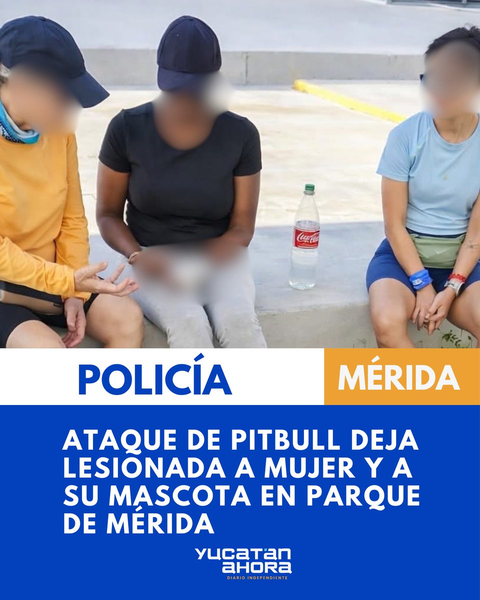 Yucatán Ahora tweet media