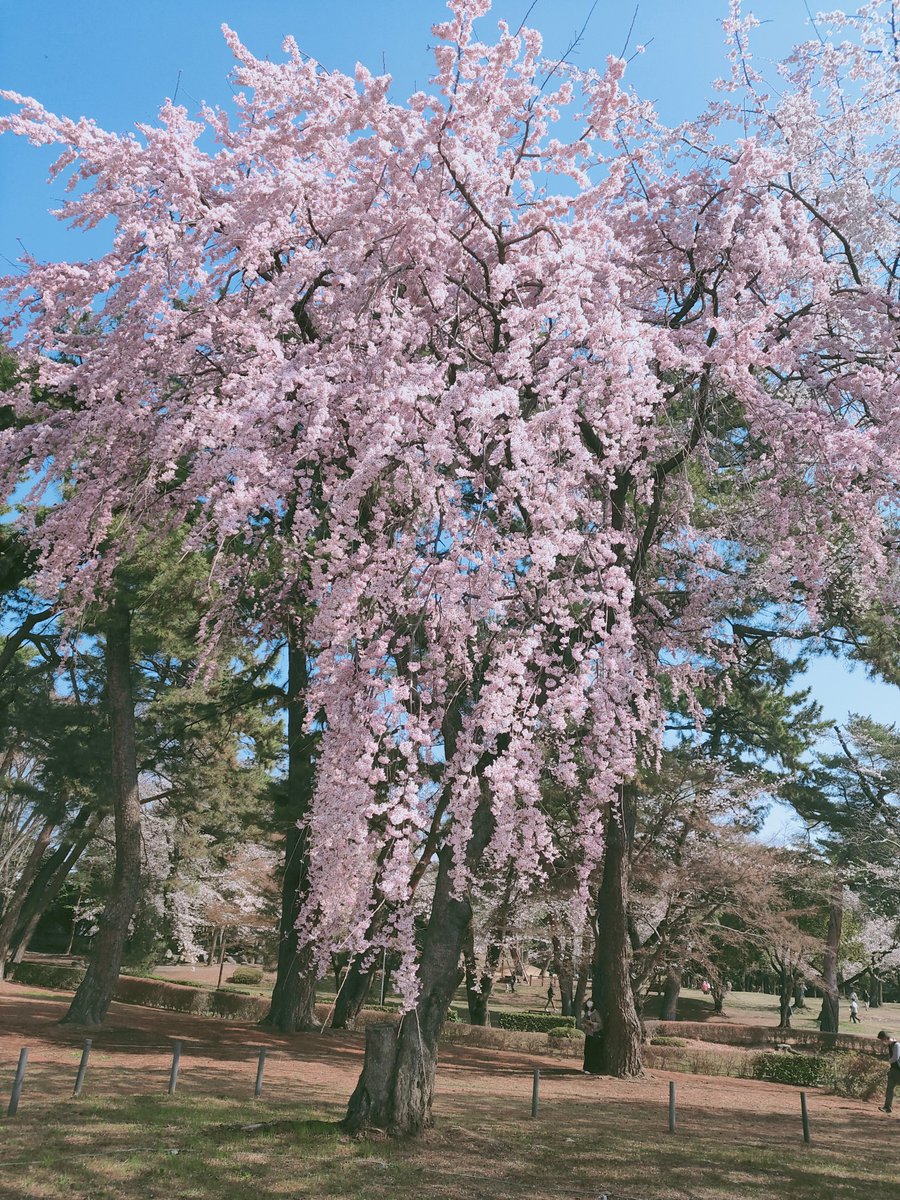 立川信行 | 合同会社RAISEEEE(レイジー) CEO tweet media