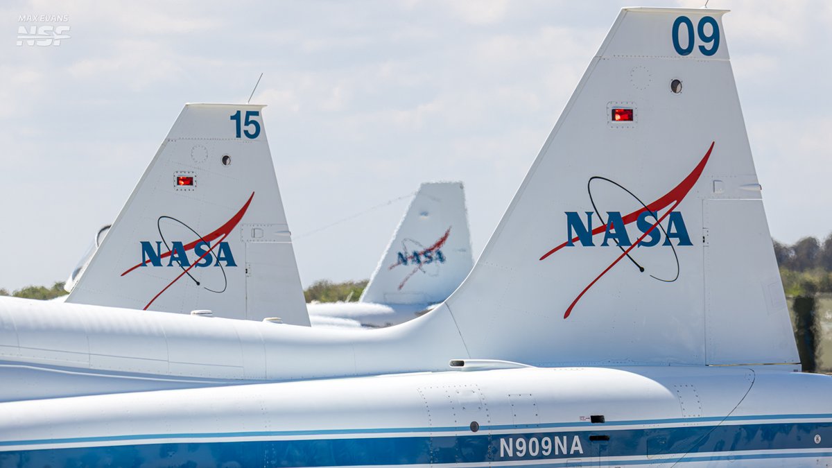 Max Evans tweet media