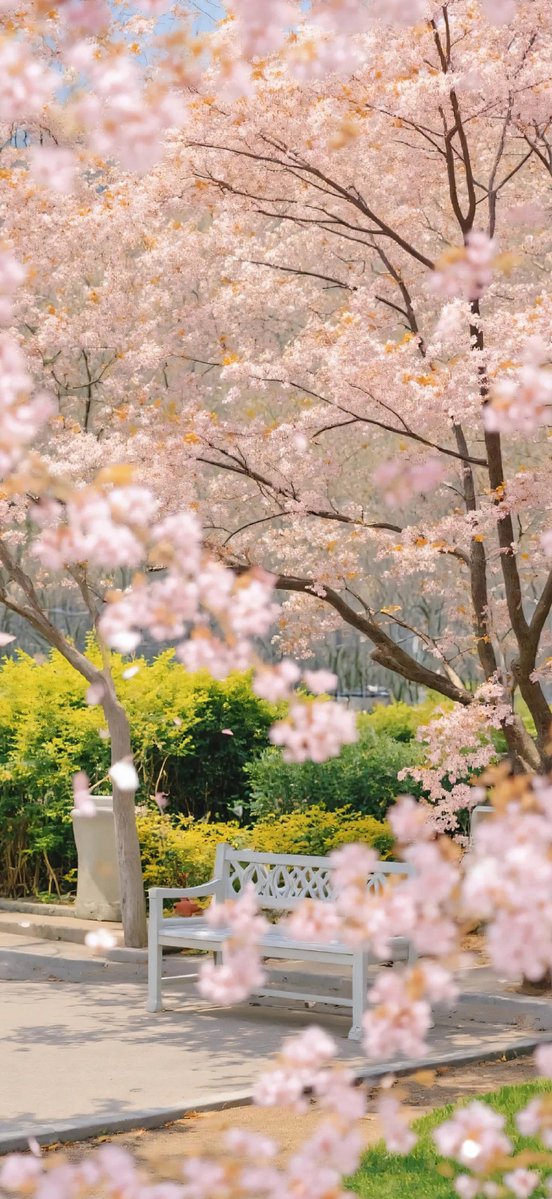 MARIA ET ALEXANDRE tweet media