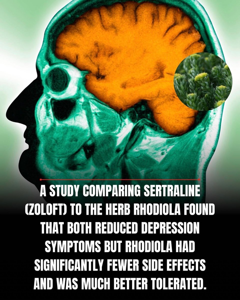 Brainy Science tweet media