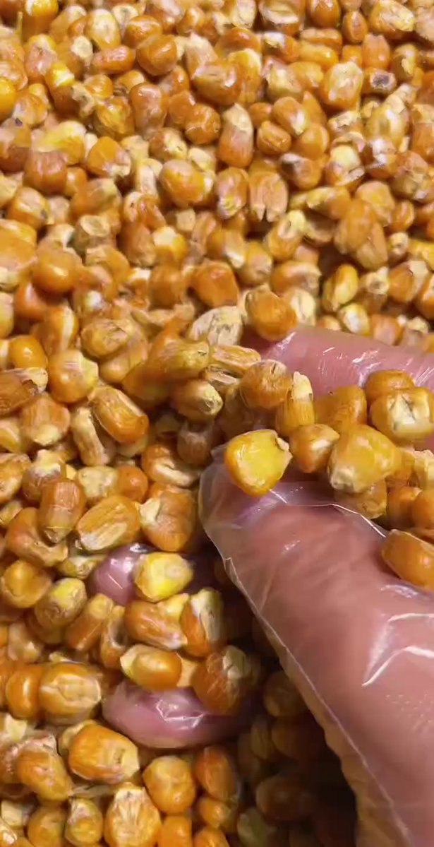 Mashooque Ali tweet media