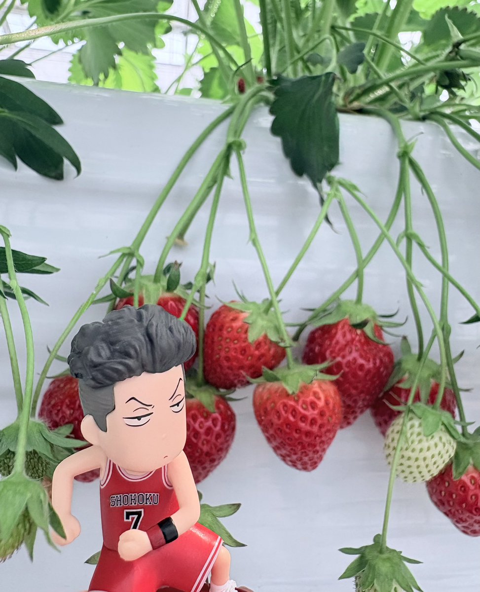 いつじ tweet media