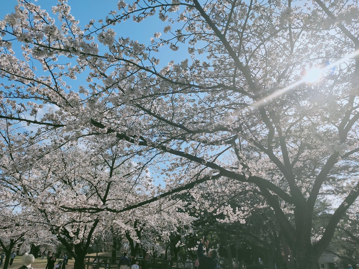 立川信行 | 合同会社RAISEEEE(レイジー) CEO tweet media