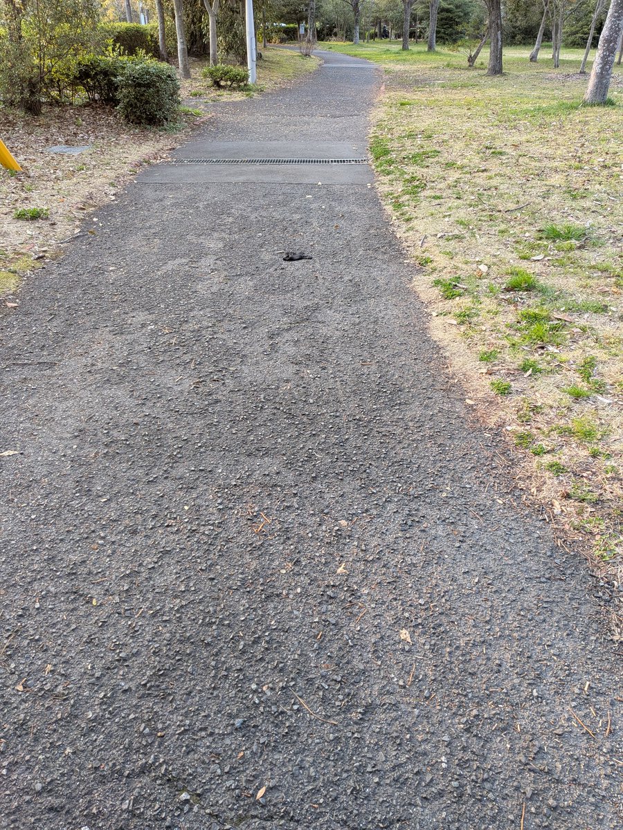 ともなっつ tweet media