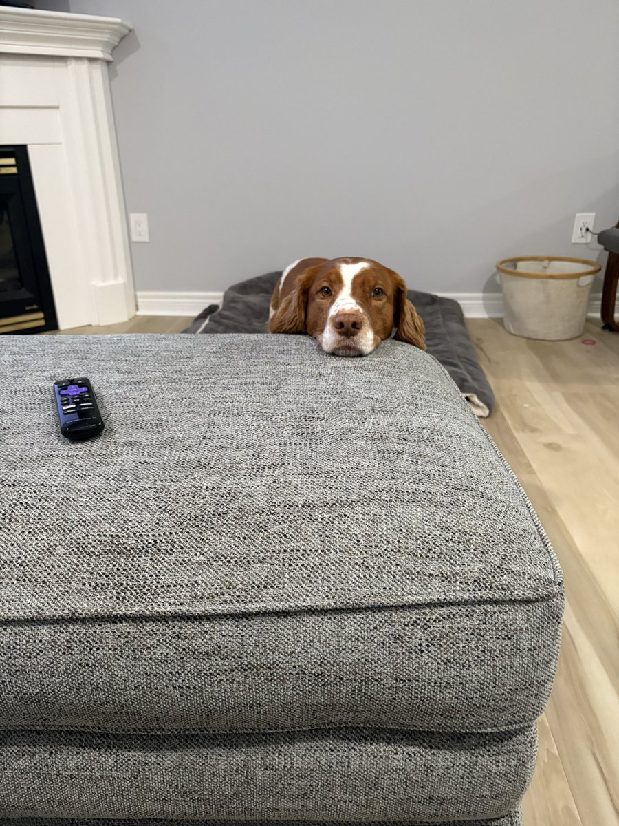 Kara~🐦🇨🇦⚾️💙 tweet media