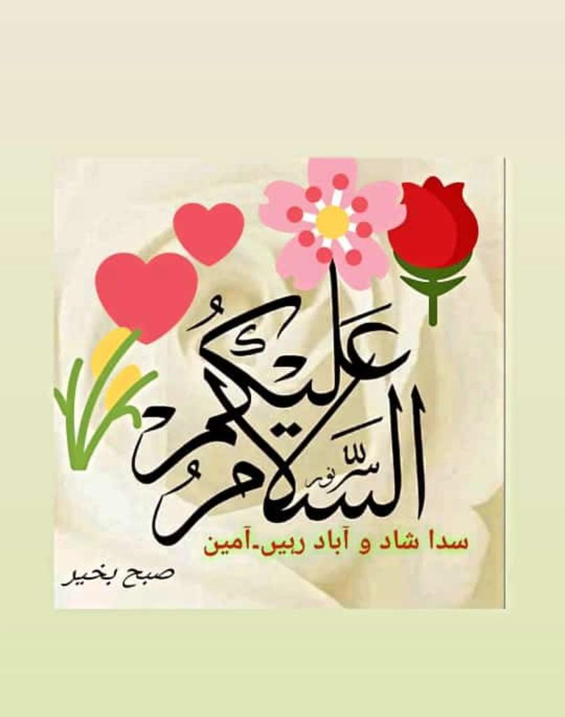 فائزہ لودھی tweet media