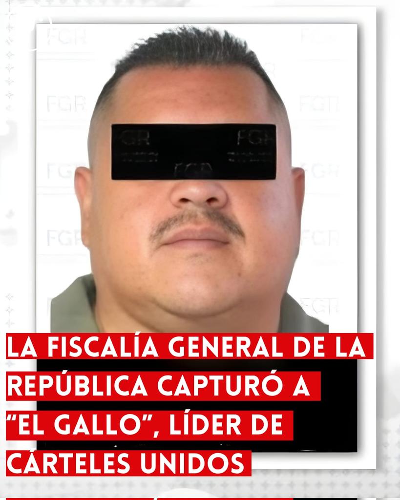 Los Reporteros MX tweet media