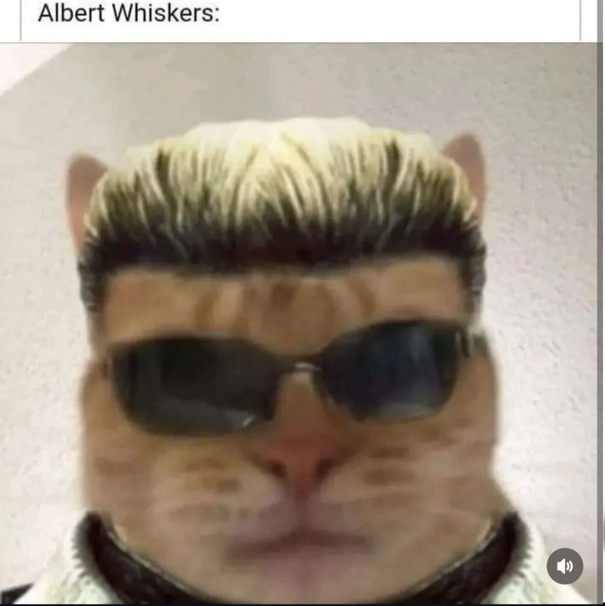 ๐๐จ๐ฉ๐ง๐ค๐๐๐ฃ ๐๐๐๐๐ฎโค๏ธ tweet media