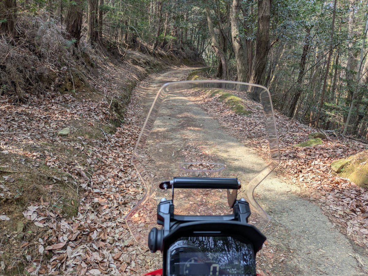 がんちゃん(💉FFMMFF) tweet media