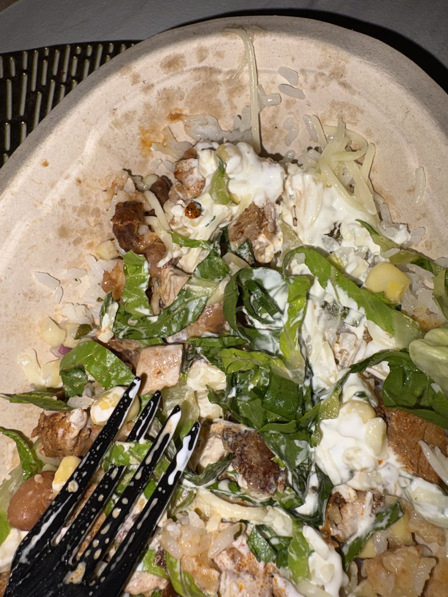 Rybovs25's tweet photo. Never ordering @ChipotleTweets again. I just found a bug in my foot. I want a refund. https://t.co/tfICYR3Iew