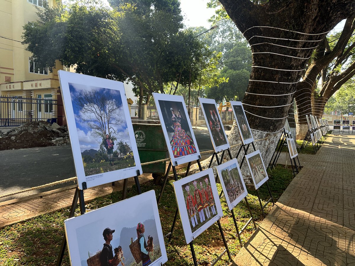 Quang Nguyen | Leo tweet media