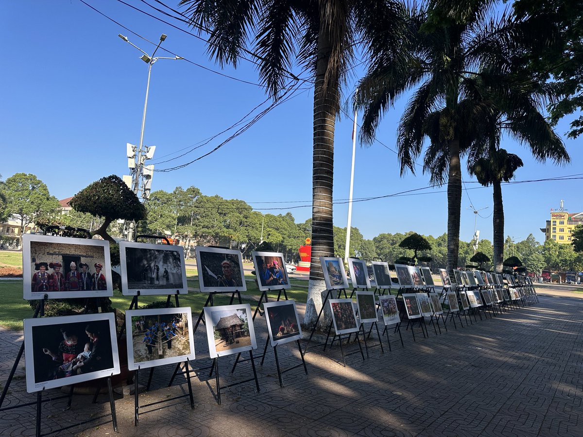 Quang Nguyen | Leo tweet media