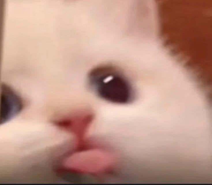 Daniel Sa (VA) | #VioRhyseAlberia tweet media