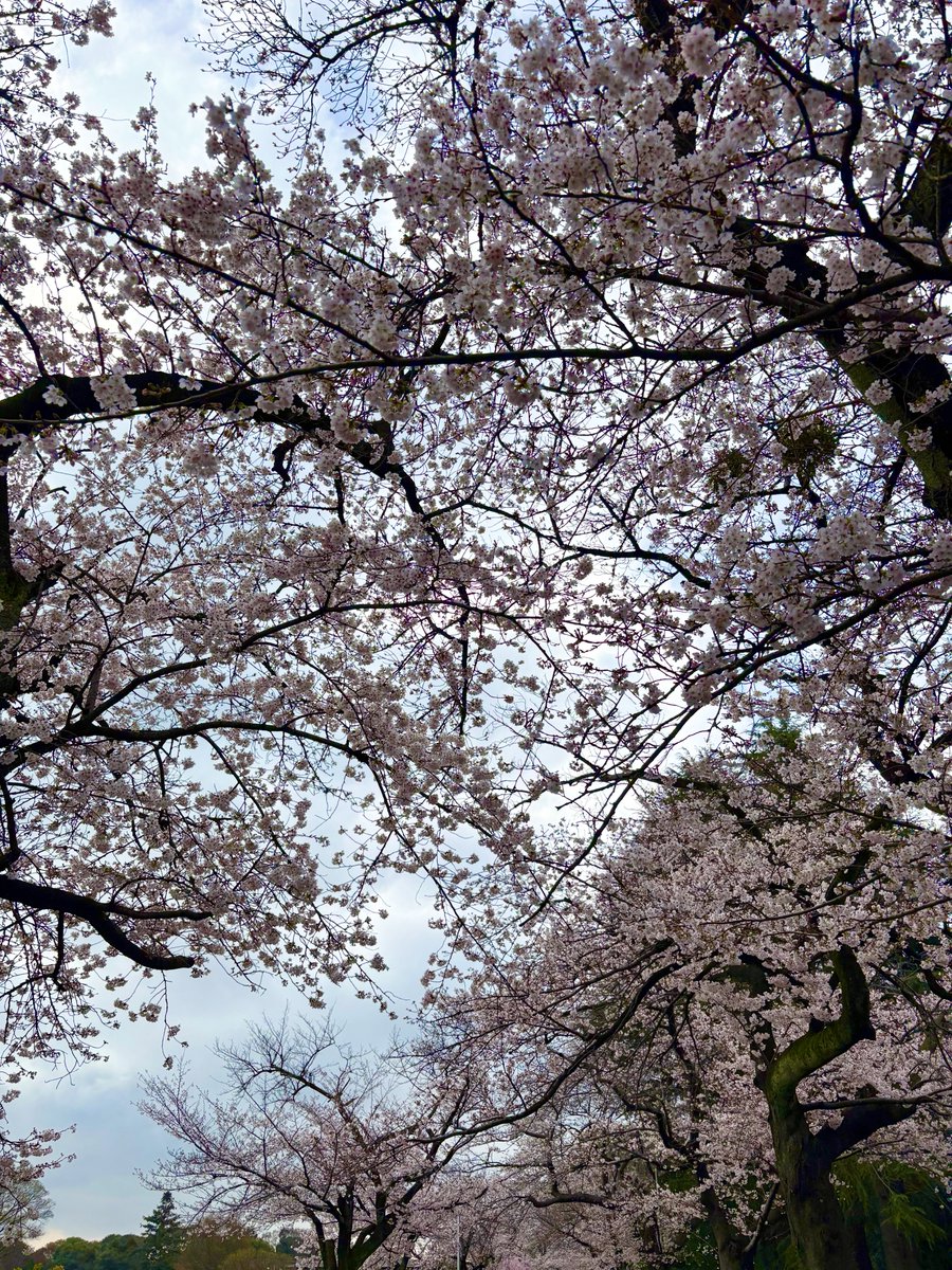 なおと@家族の"笑柱"💫 tweet media