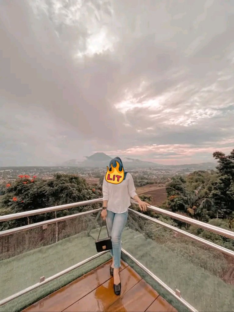 Segita baru tweet media