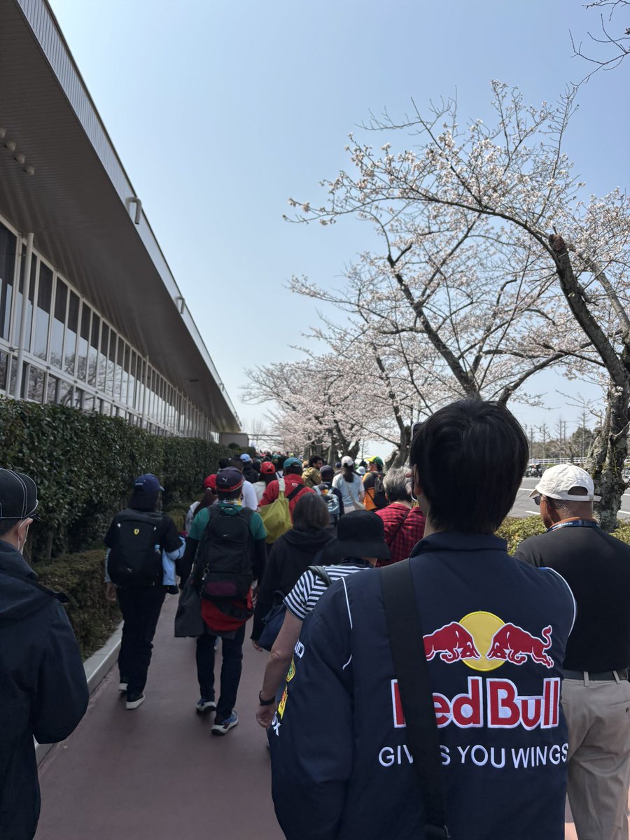 mobius_icecle's tweet photo. いいね🌸 https://t.co/ASPqtAtNnH